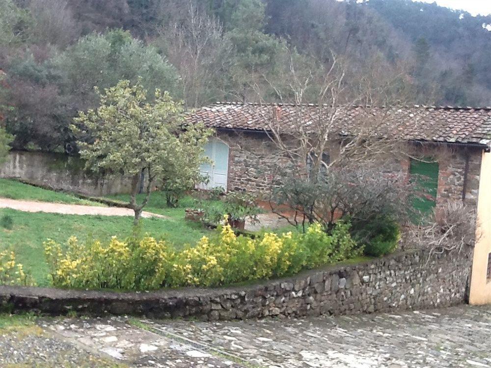 Villa Torre Degli Onesti San Martino in Freddana Екстериор снимка